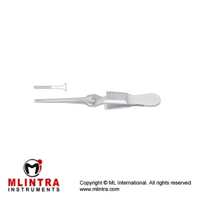 Diethrich Bulldog Clamp Straight Stainless Steel, 45 mm Jaw Length 8 mm